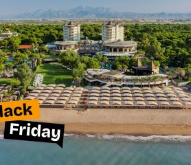 PAPILLON ZEUGMA RELAXURY